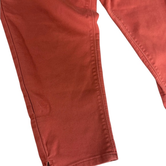 Curve Appeal Rust Skinny Pants Size 20W Plus Stretch - Picture 6 of 11